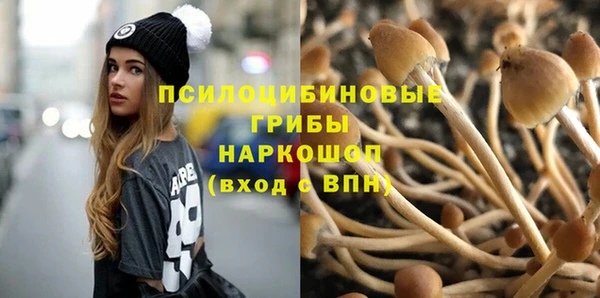 гидропоника Алексеевка