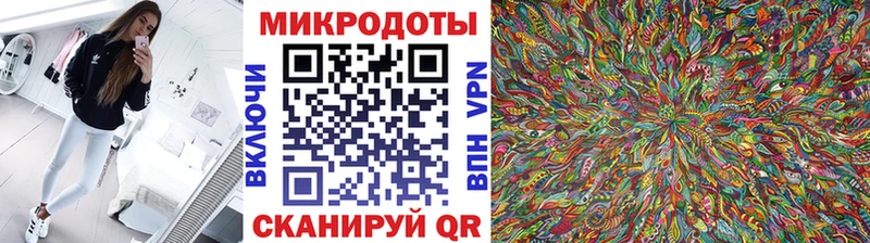 Галлюциногенные грибы Psilocybe  купить наркотик  Полысаево 